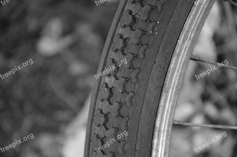 Bike Mature Wheel Tyres Bicycle Tires