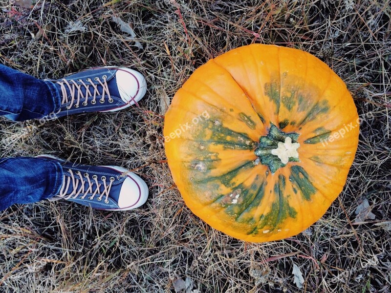 Pumpkin Fall Autumn October Halloween Converse