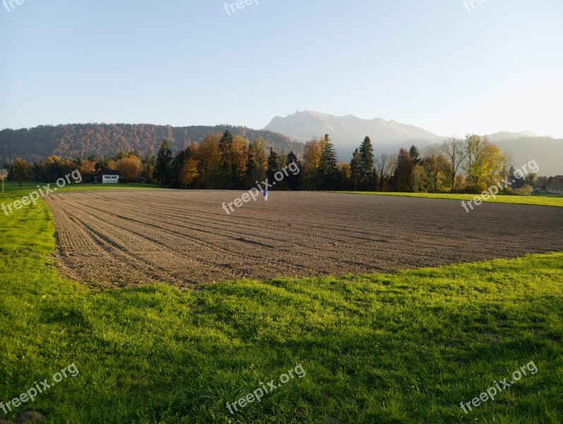 Arable Scarecrow Field Agriculture Bird Control