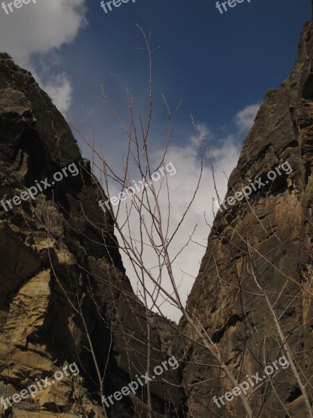 Mountains Tajikistan Tree Landscape Sky