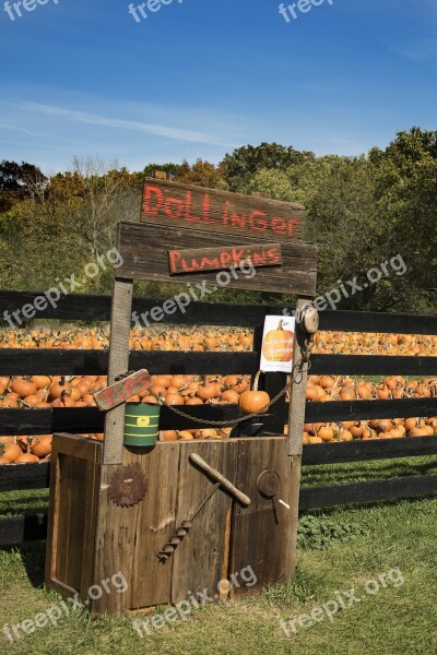 Pumpkins Farm Autumn Harvest Patch