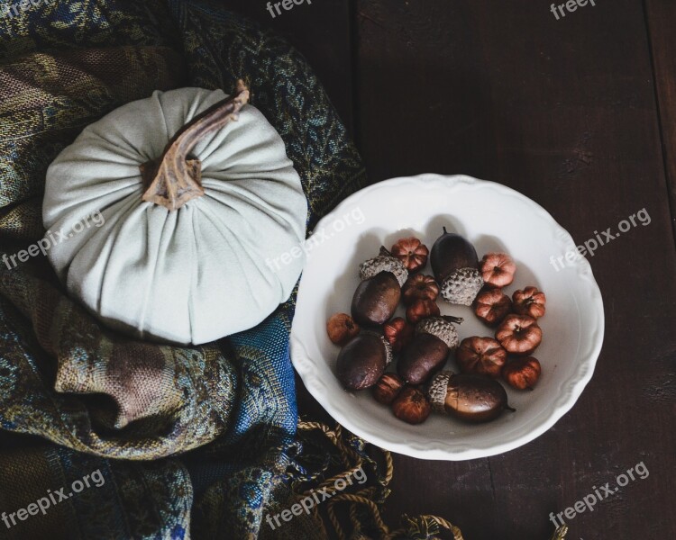 Fabric Pumpkin From Above Soft Texture Fabric Pattern