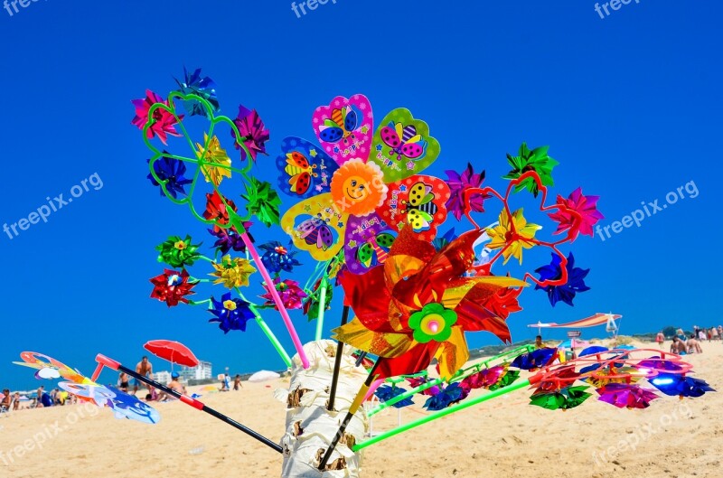 Beach Windspiel Nature Decoration Sand Beach