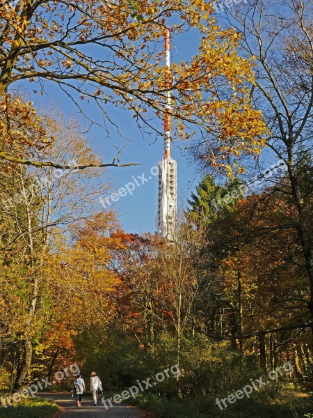 Autumn Forest Sauerland Northern Bright Transmitter Transmission Tower