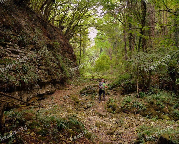 Excursion Forest Val Borago Valle Trail