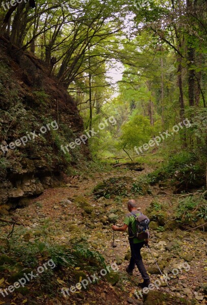 Excursion Forest Val Borago Valle Trail