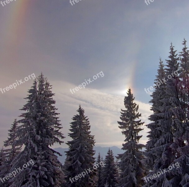 Winter Landscape Cold Nature Snowy