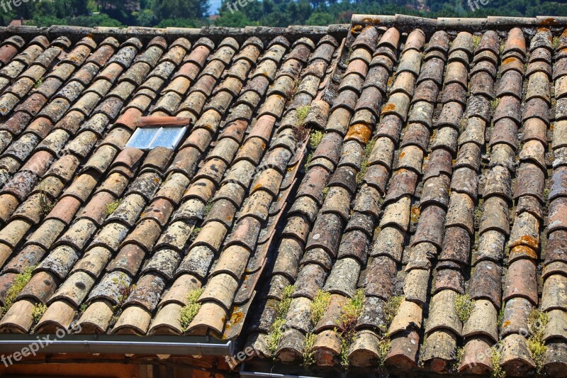 Clay Tiles Tile Lichen Patina Ceramic