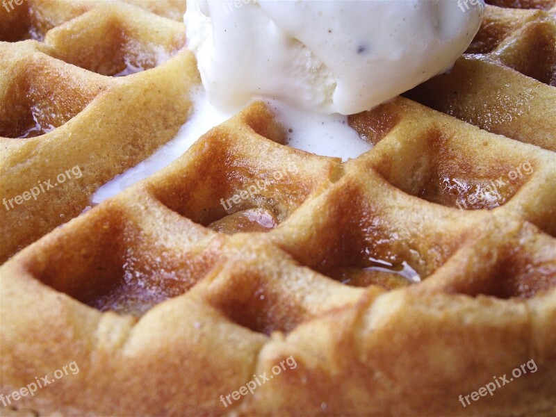 Chocolate Chip Ice Cream Scoop Melting Creamy