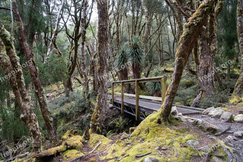 Overland Track Tasmania Nature Wilderness Outdoors