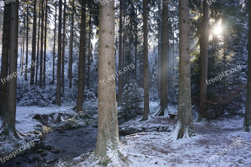 Silver Valley Horn-bad Meinberg Teutoburg Forest Kidylle Snow