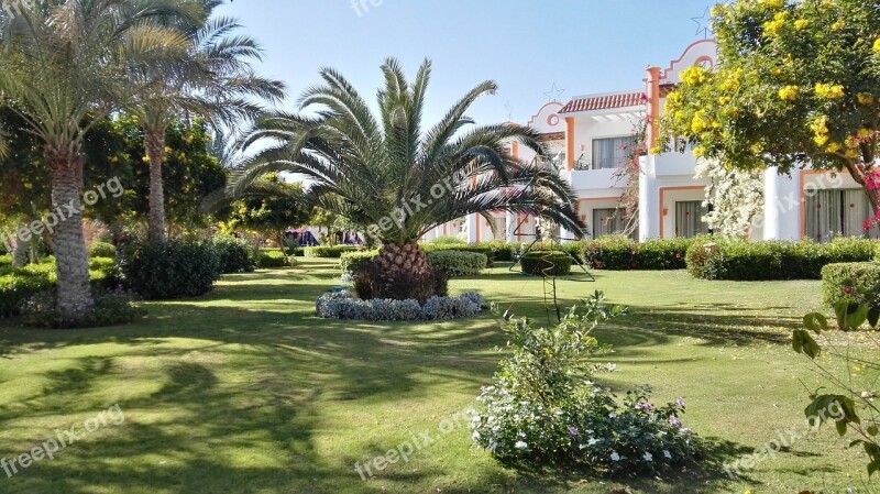 Palm Trees Garden Nature Plant Hotel Complex