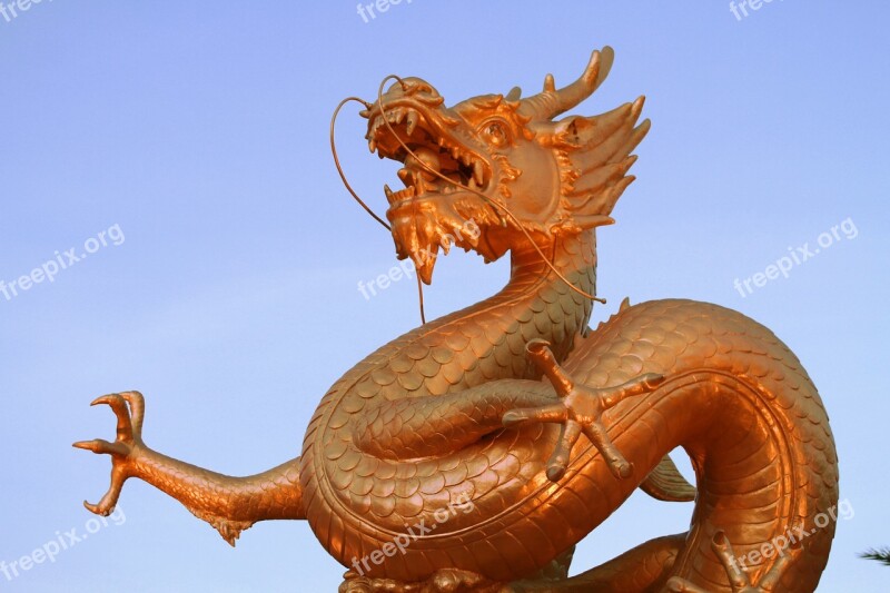 Dragon Statue Sculpture China Asian