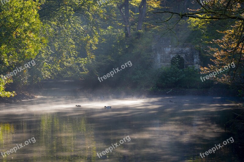 Water Pond Folly Flip Ducks