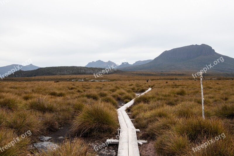 Overland Track Tasmania Hike Landscape Nature