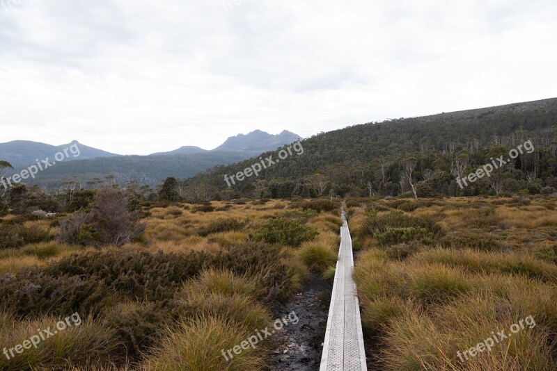 Overland Track Tasmania Hike Landscape Nature