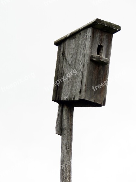 Birdhouse Tree Wooden Birds Jack