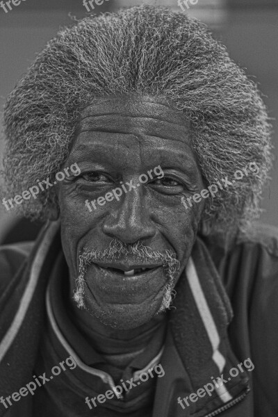 Face Old Man Portrait Head Male Elderly