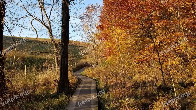 Autumn Fall Boardwalk Leaves Ohio