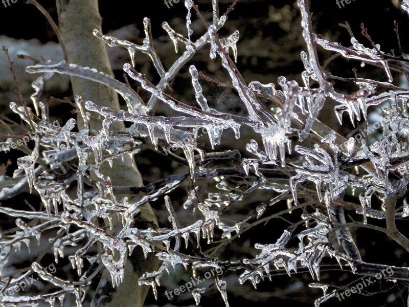 Icicle Icicles Ice Storm Ice Winter