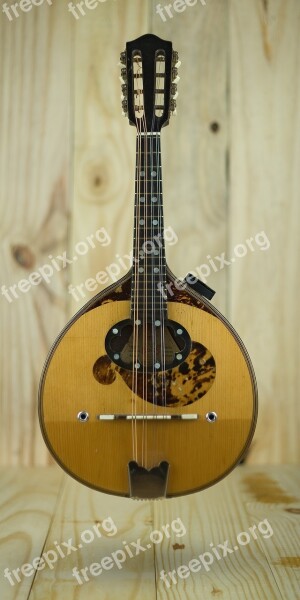 Mandolin Instrument Acoustic Music String