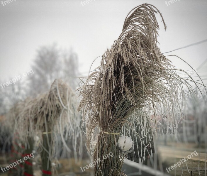 Winter Nature Cold Snow Landscape