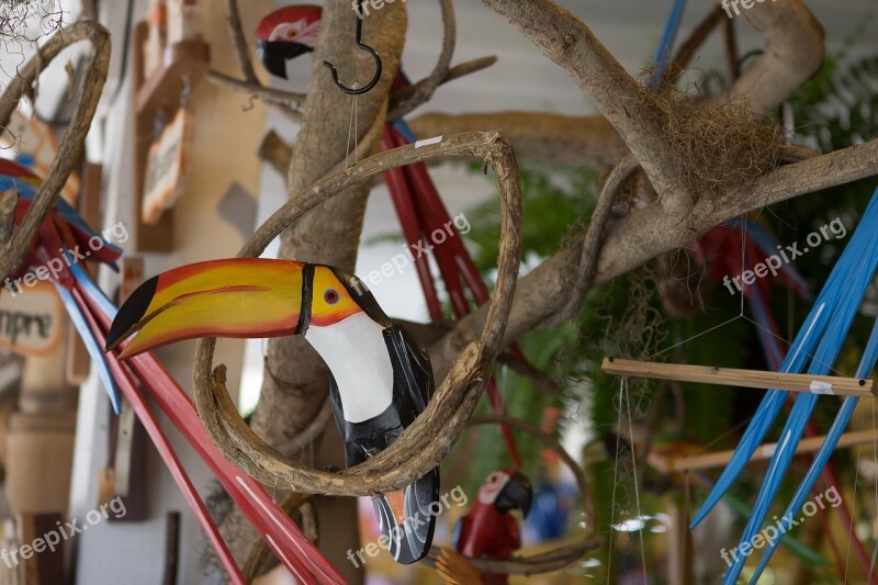 Handicraft Toucan Brazil Birds Free Photos