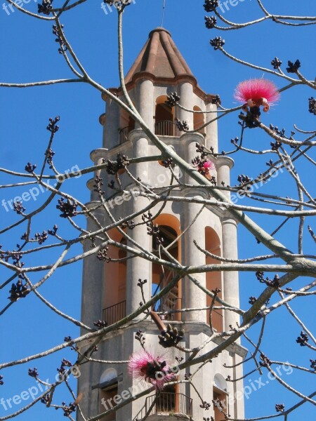 Torre De Iznaga Cuba Tower Flowers Trinidad