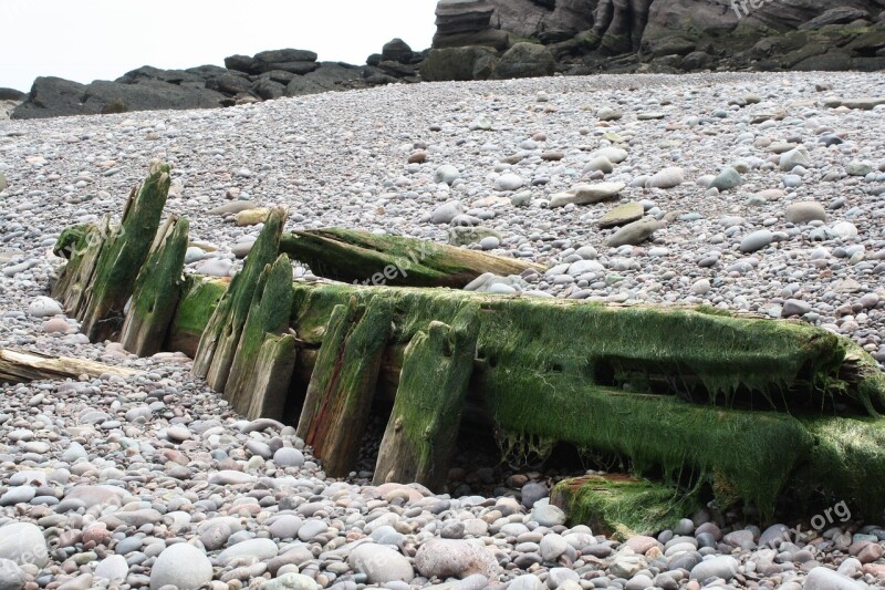 Rocky Beach Beach Fundy Bay Free Photos