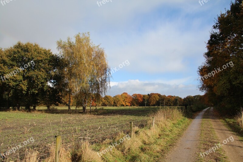 Netherlands Landscape Veluwe Nature Fall Colors