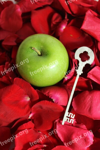 Apple Green Key Petal Fruit