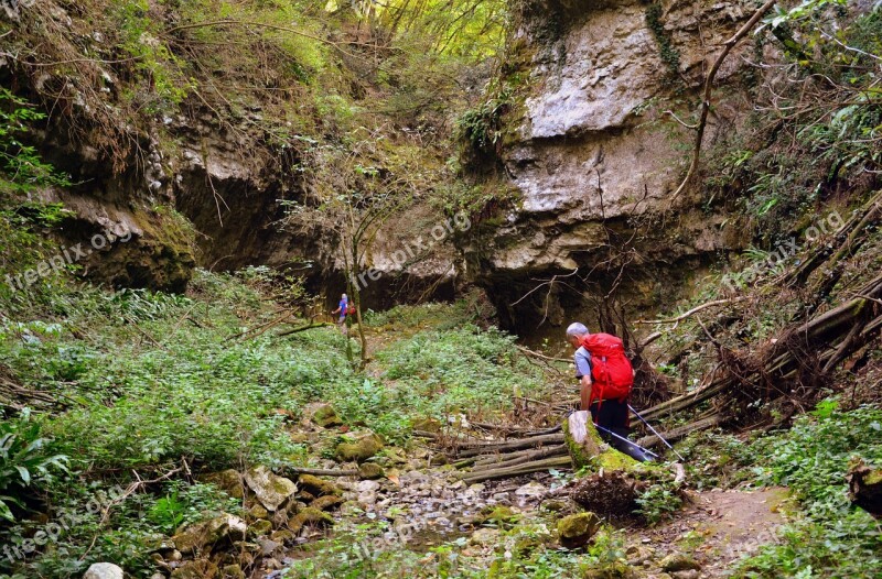 Excursion Forest Val Borago Valle Trail