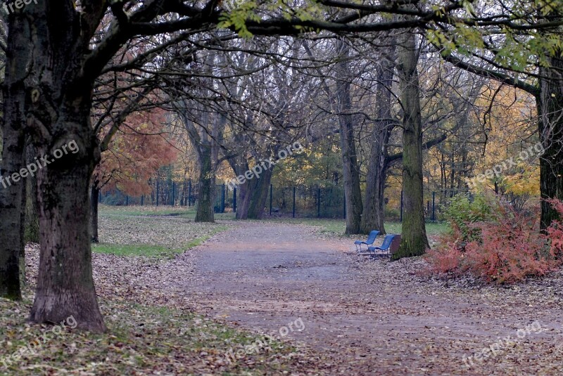 Park Fall Tree Allee Free Photos