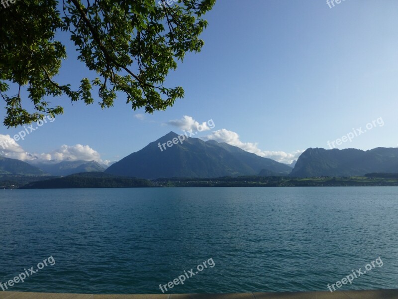 Sneezing Lake Thun Nature Free Photos