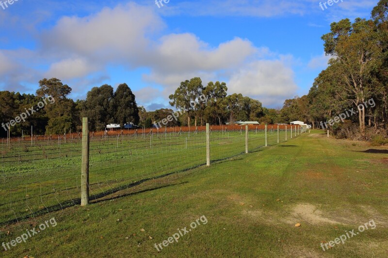 Island Brook Estate Vineyard Free Photos