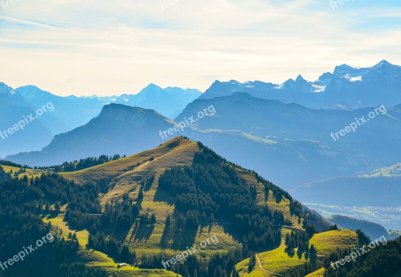 Alpine Foresight Mountains Nature Rigi