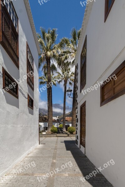 Alley Narrow Lane Canary Islands Palm Historic Center