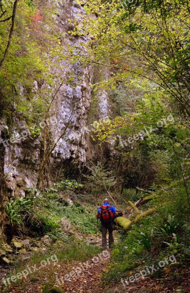 Excursion Forest Val Borago Valle Trail