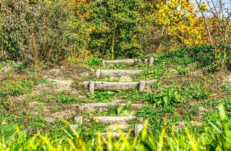 Stairs Green Green Area Trees Playground