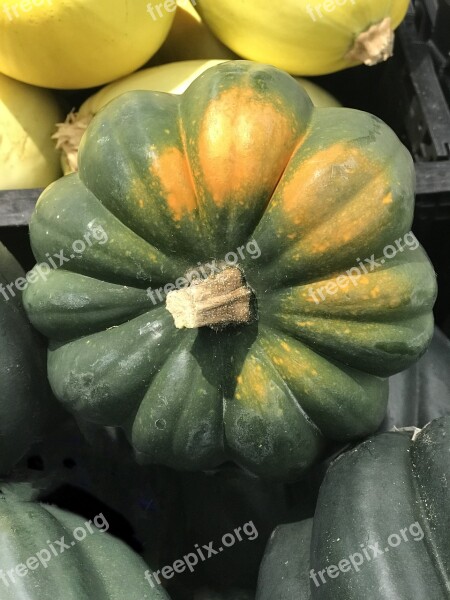 Squash Green Yellow Food Fresh