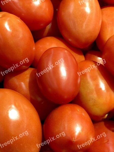 Tomato Red Ripe Organic Food