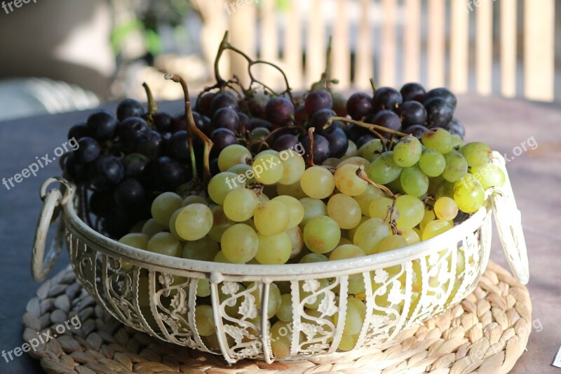 Grape Fruit Nature Vine Fall