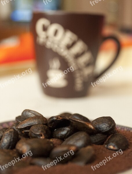 Coffee Beans Drink Caffeine Black