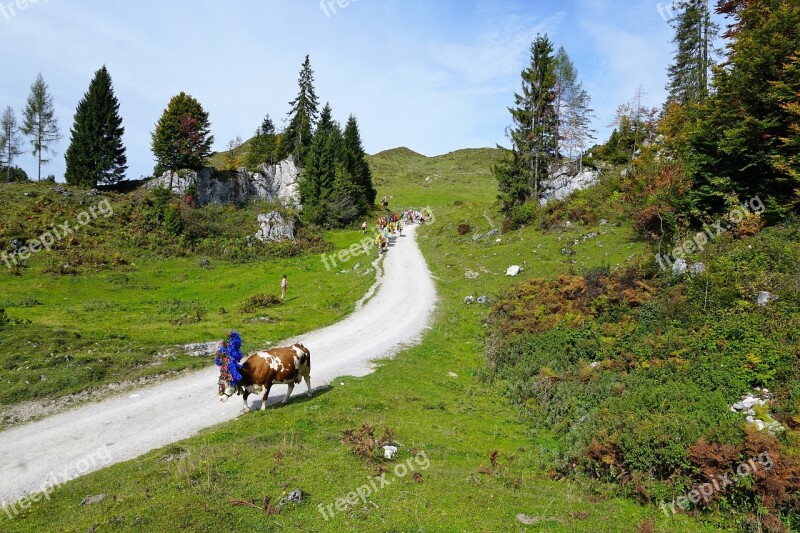 Alm Austria Wilder Emperor Mountain