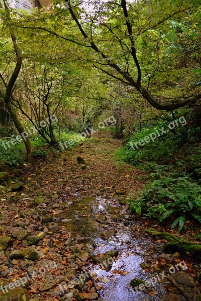 Excursion Forest Val Borago Valle Trail