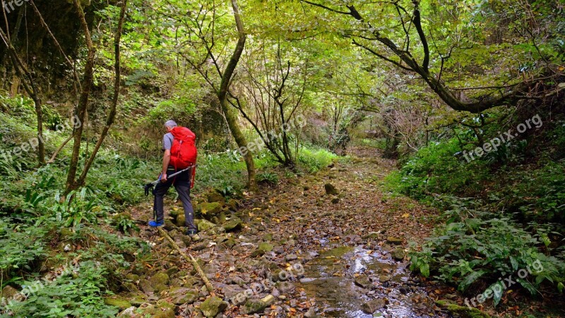 Excursion Forest Val Borago Valle Trail