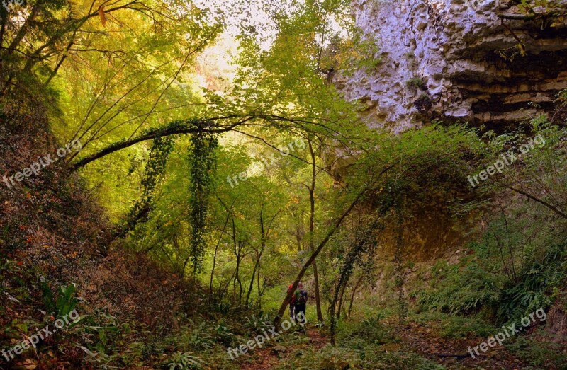 Excursion Forest Val Borago Valle Trail