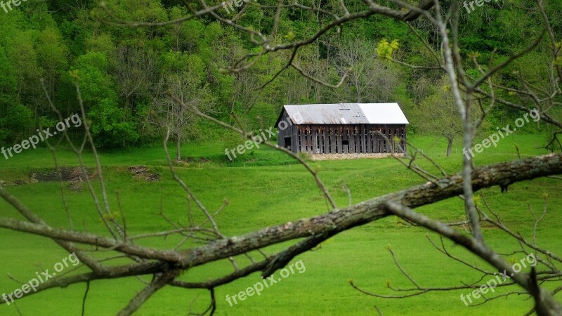 Old Barn Dead Tree Barn Old Dead