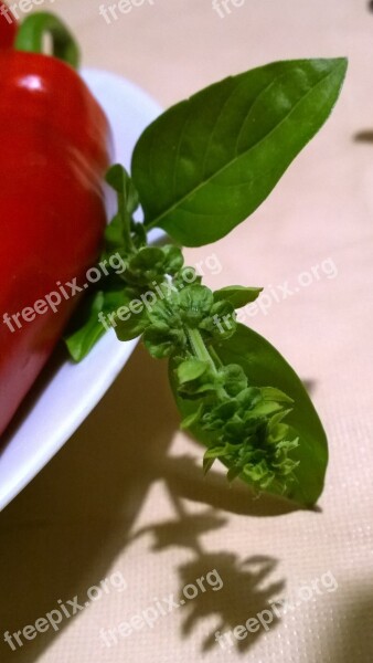 Paprika Basil Noble Fresh Nutrition