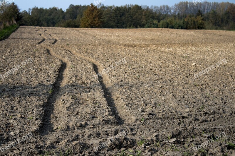 Way Field Traces Nature Autumn